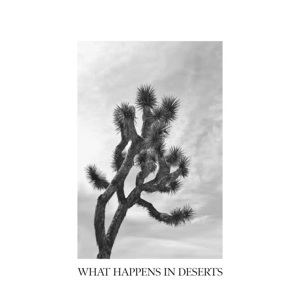 All Things New (feat. Tyler Crowley) (Acoustic Version)