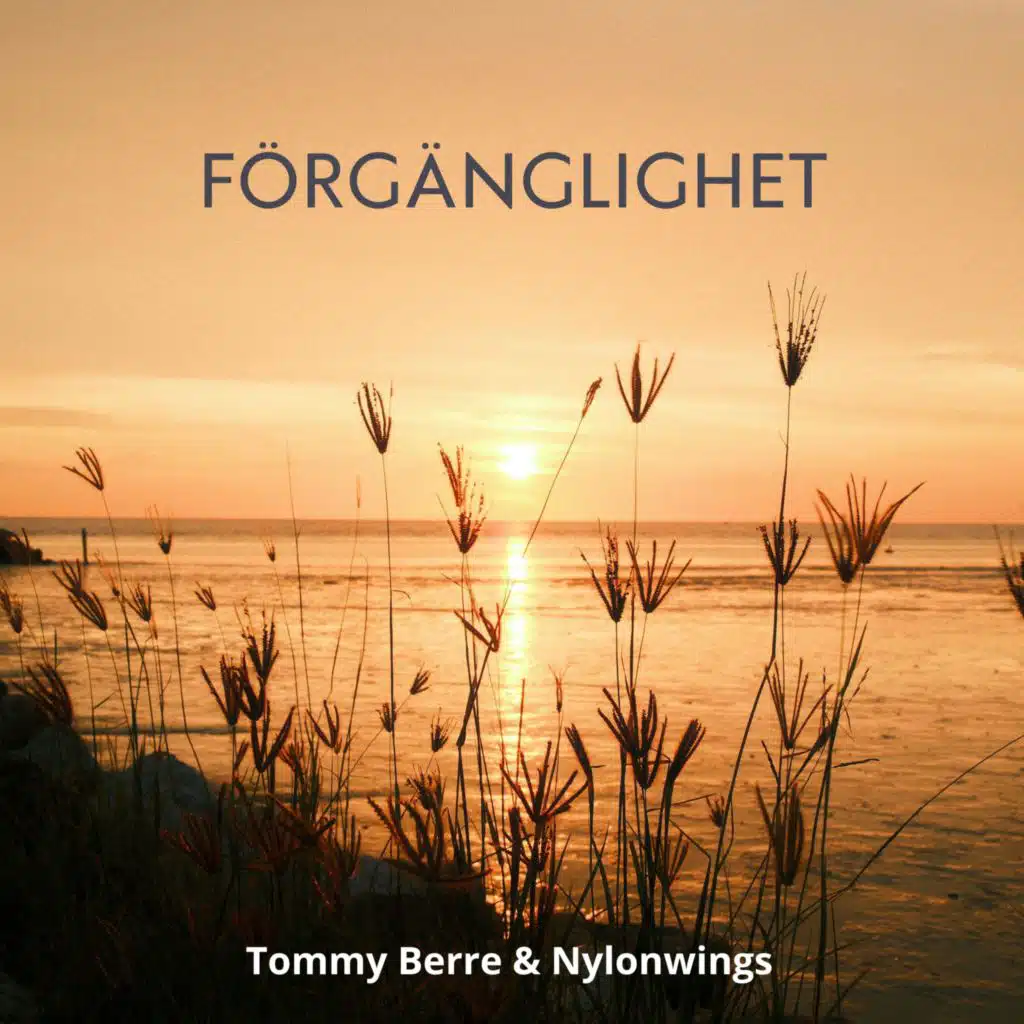 Nylonwings & Tommy Berre