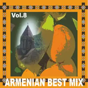 Armenian Best Mix, Vol. 8