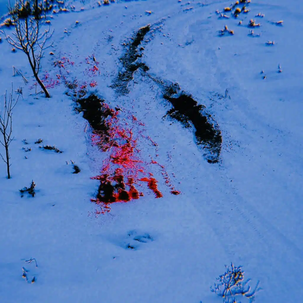 Pretty Like Blood on Snow