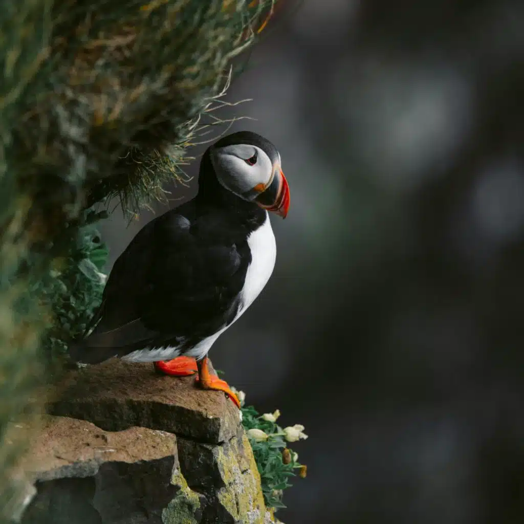 Blake Smells Like an Eagle Fart (Blake Poop)