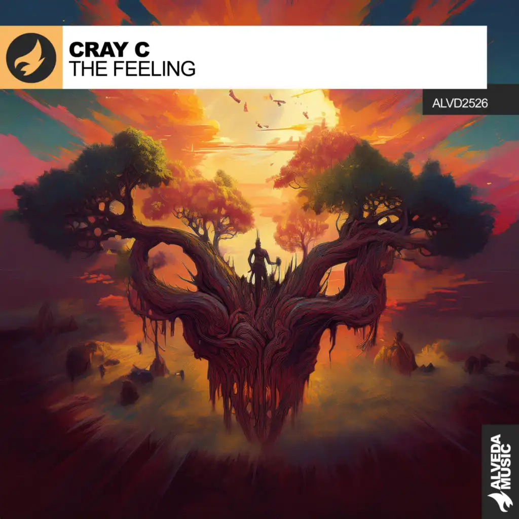 CRAY C