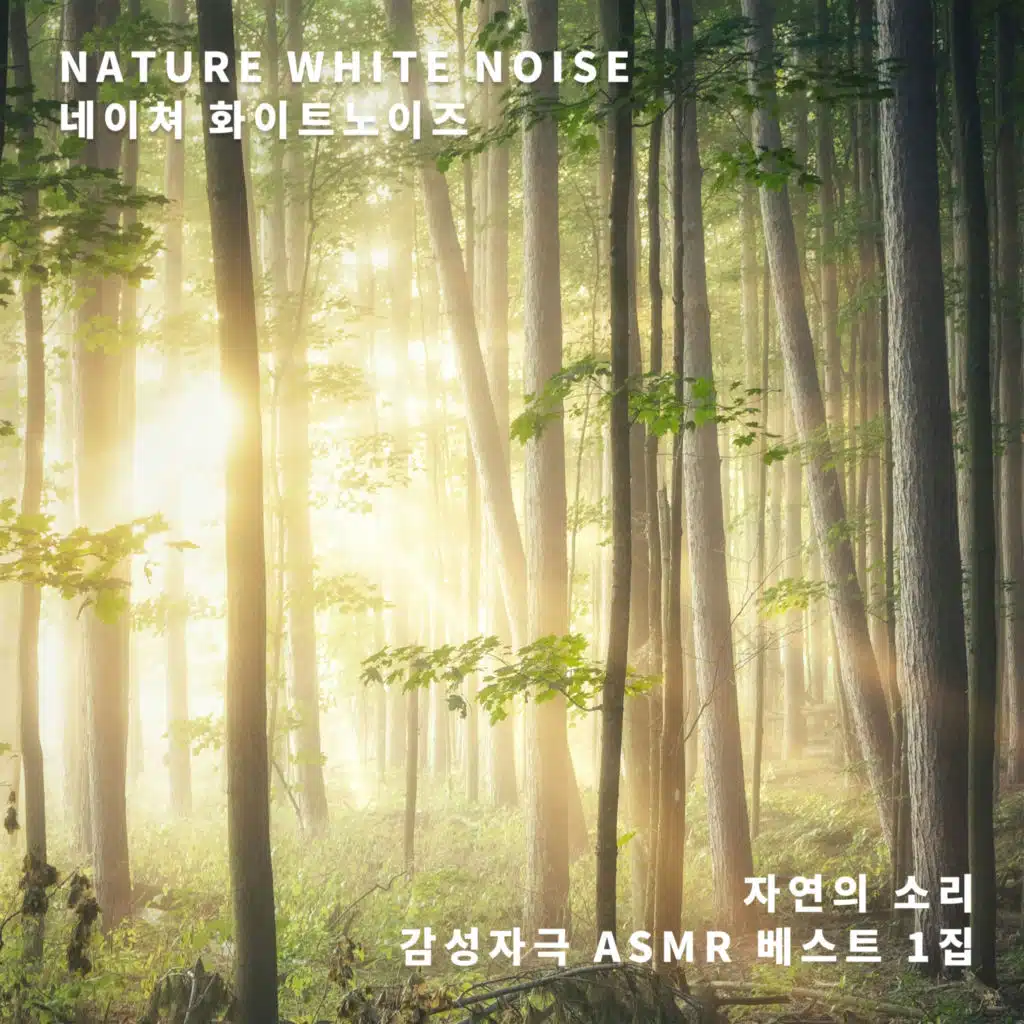 Emotional Stimulation ASMR Best 1st (Sounds Of Nature)