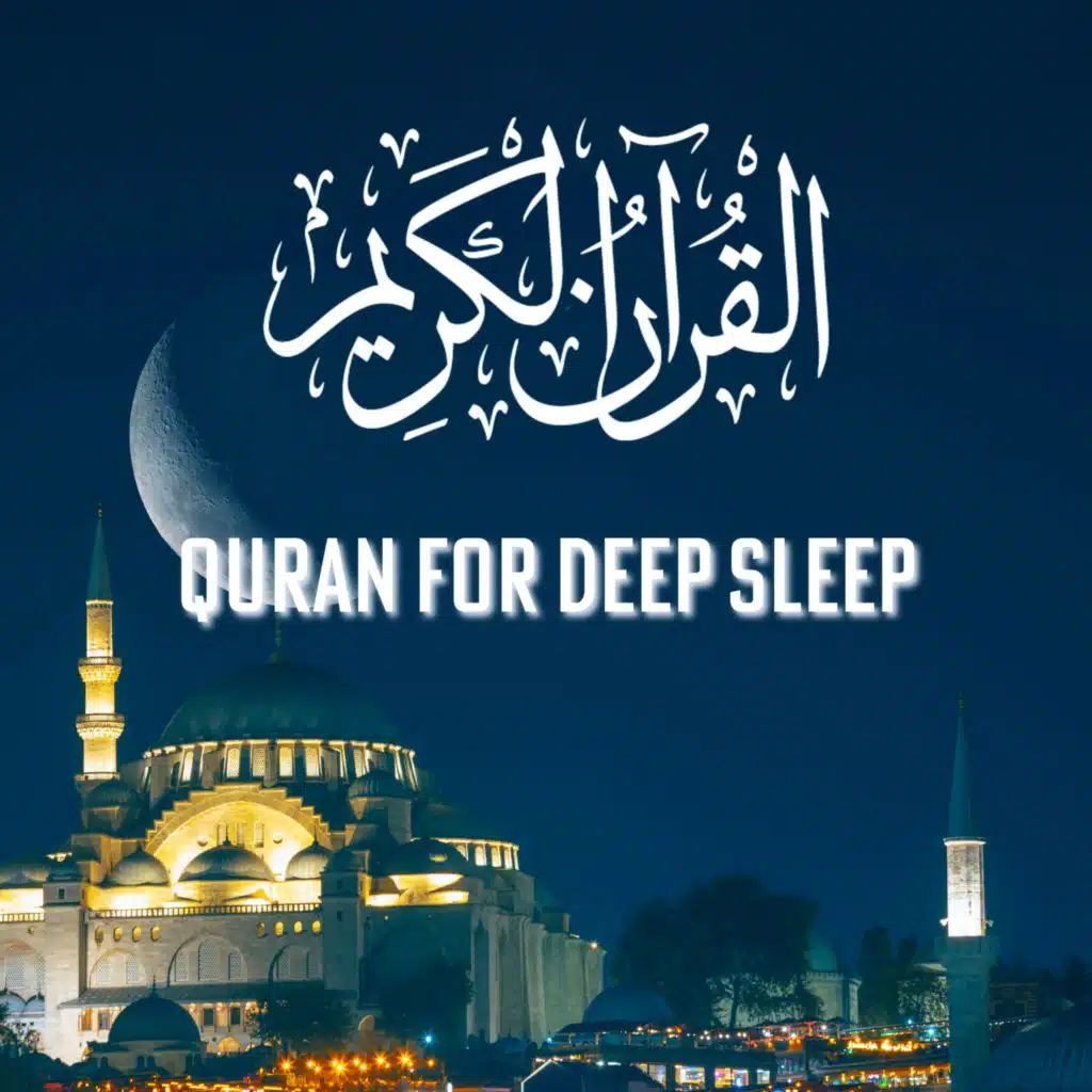 سورة التكاثر