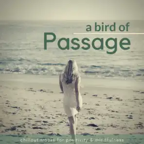 A Bird Of Passage (Chillout Tracks For Positivity & Mindfulness)