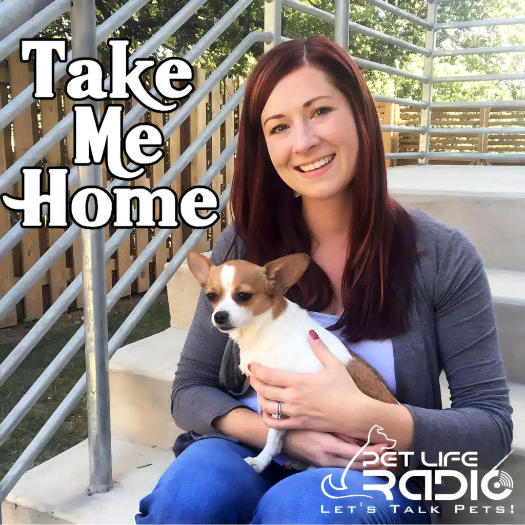 Take Me Home - Pet Adoption and Animal Rescue - Pet Life Radio Original