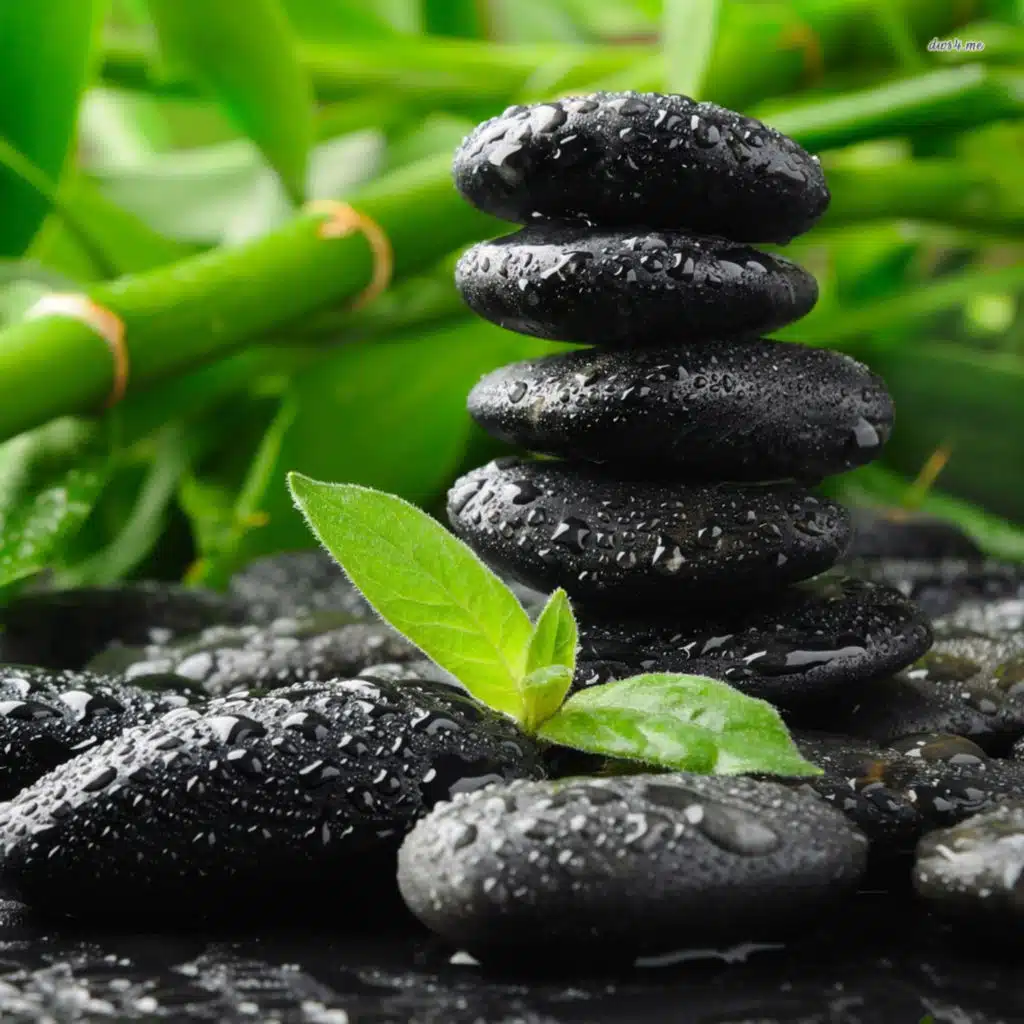 TRA TẤN HÒN ĐÁ - Cổ tích Việt Nam - Đọc truyện bé nghe