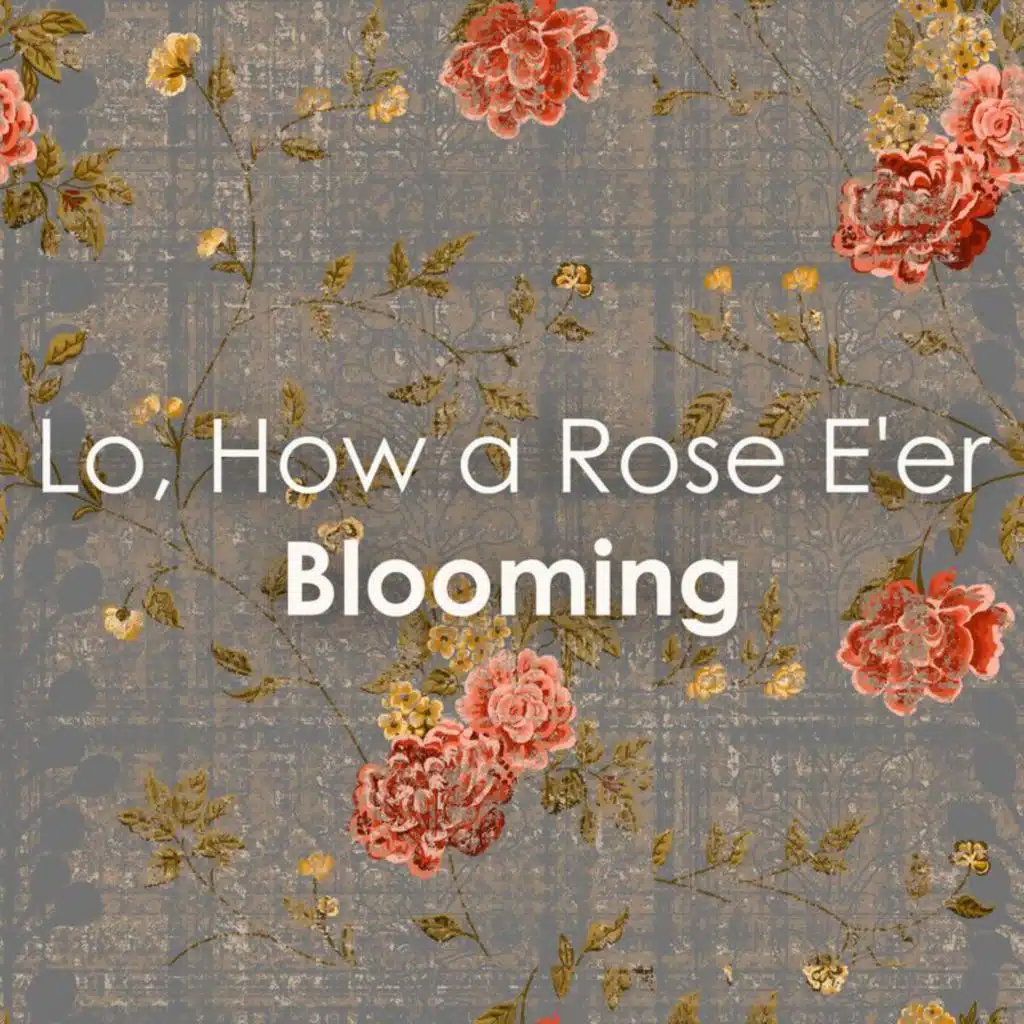 Collegium Terpsichore & Fritz Neumeyer