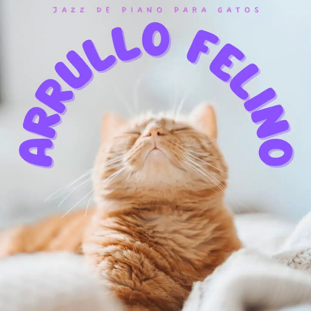 Arrullo Felino: Jazz De Piano Para Gatos
