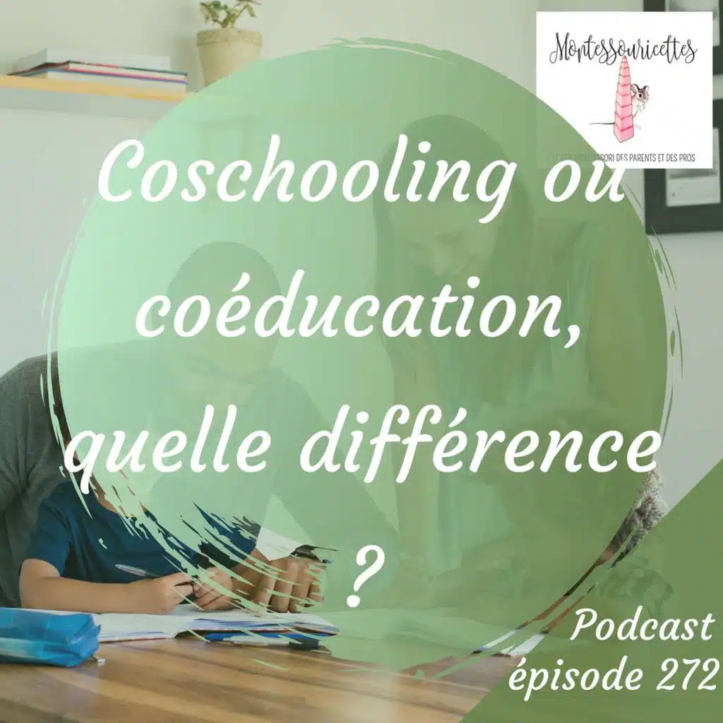272. Coschooling ou coéducation, quelle différence ?