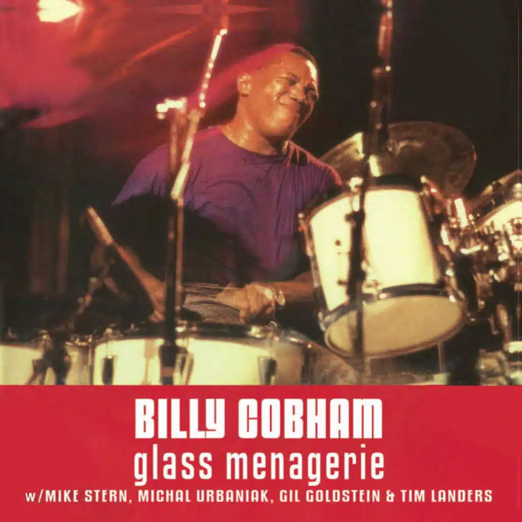 CROSSWIND (Live) [feat. Mike Stern, Michal Urbaniak, Gil Goldstein & Tim Landers]