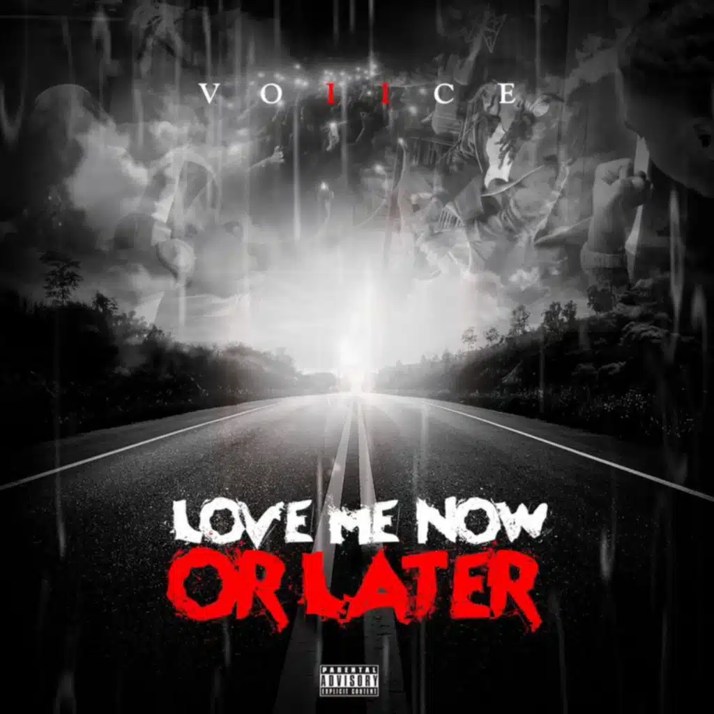 Love Me Now Or Later