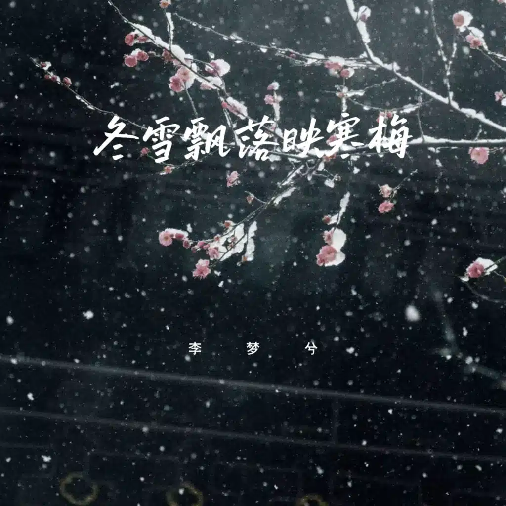 冬雪飘落映寒梅