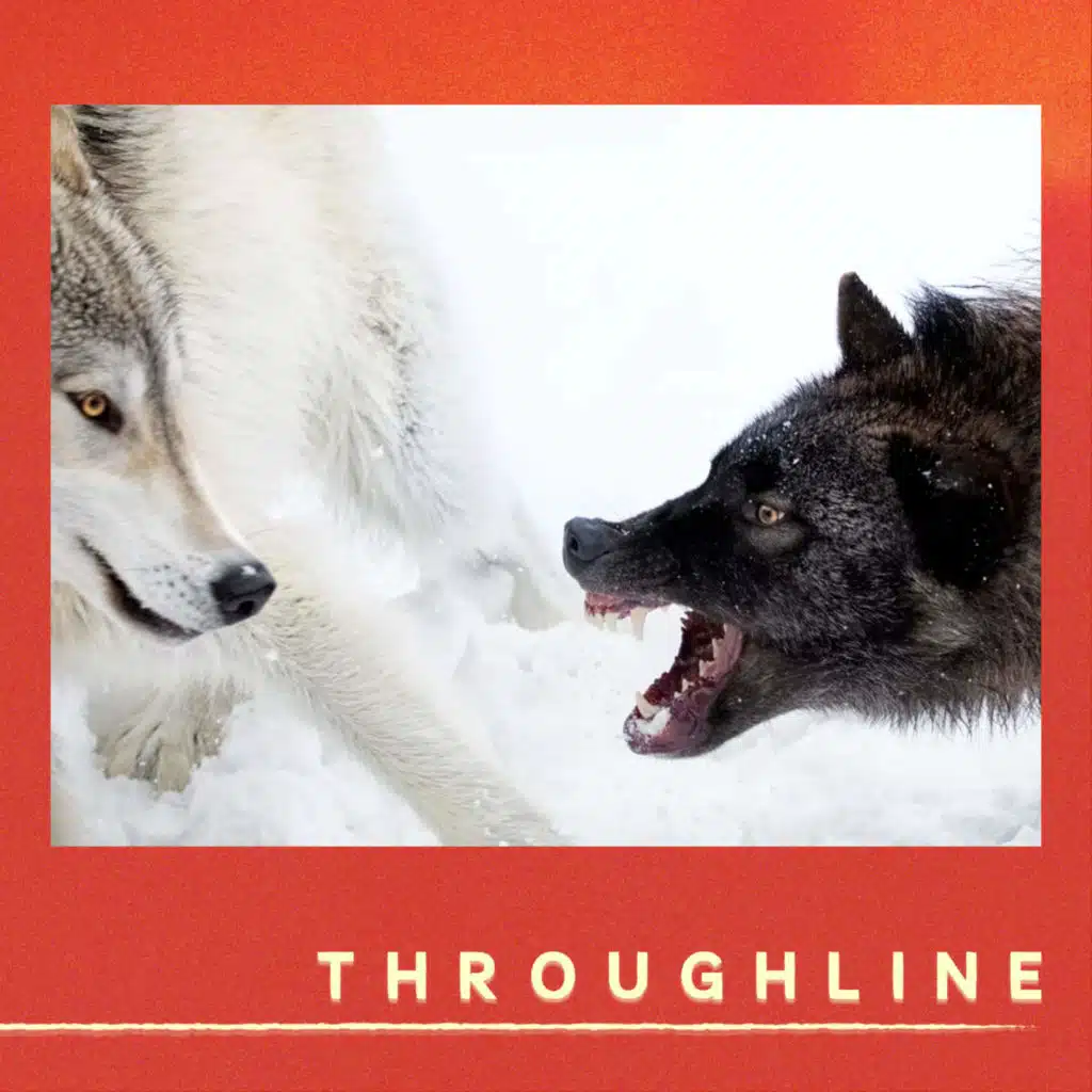 When Things Fall Apart