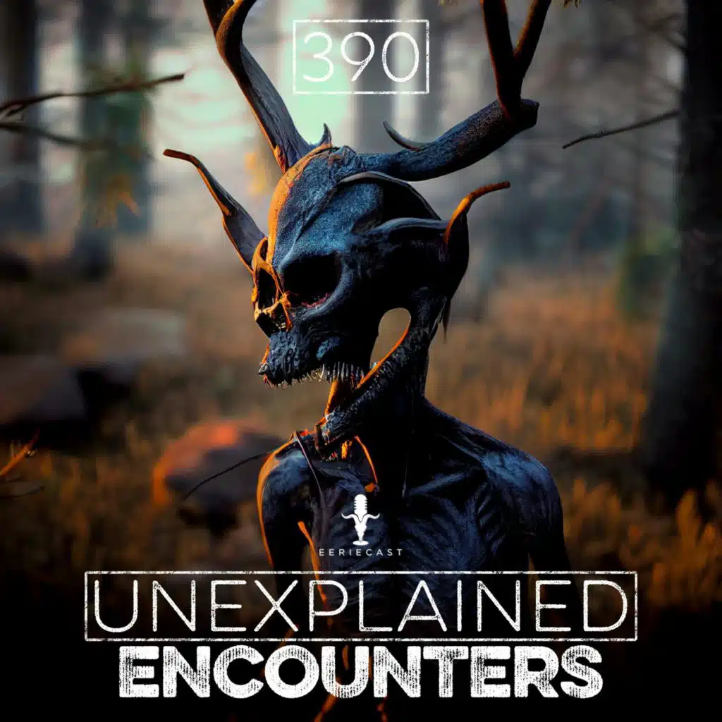 390 | 14 New DISTURBING Camping Stories
