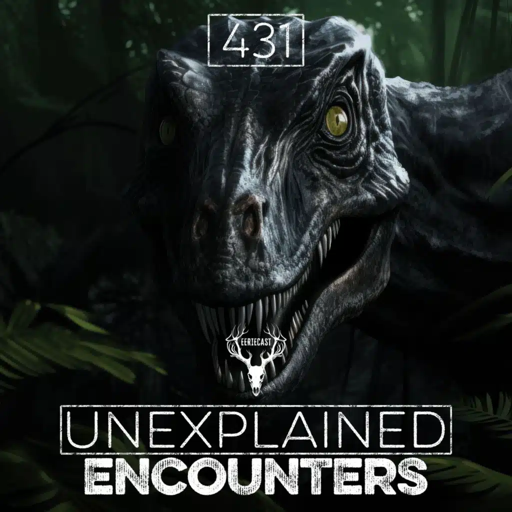 431 | 9 TRUE Deep Woods HORROR Stories