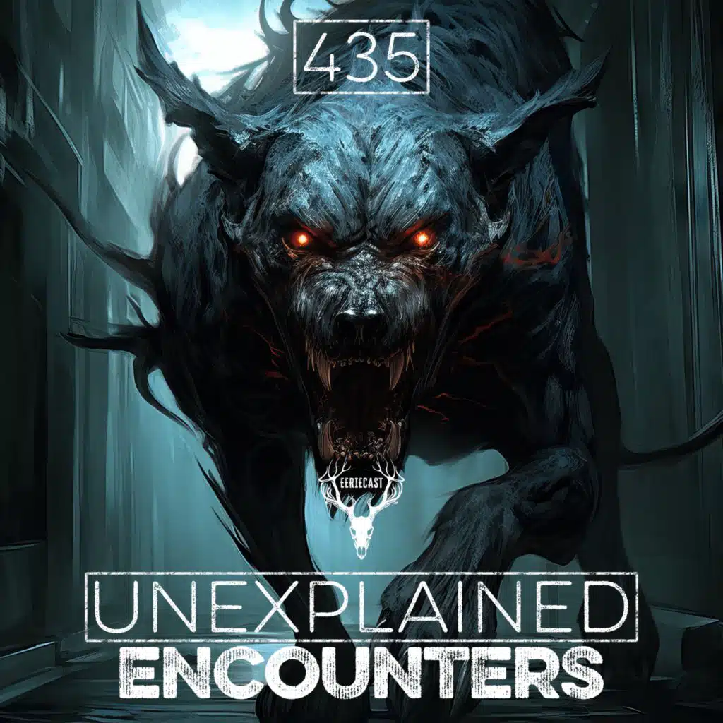 435 | DISTURBING Things Seen in Tunnels and More Unexplained Encounters!