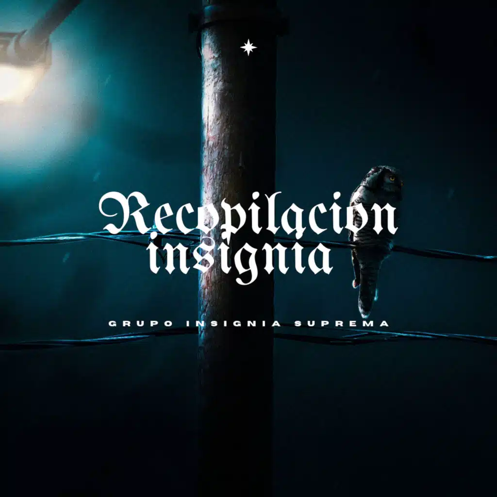 Recopilación Insignia