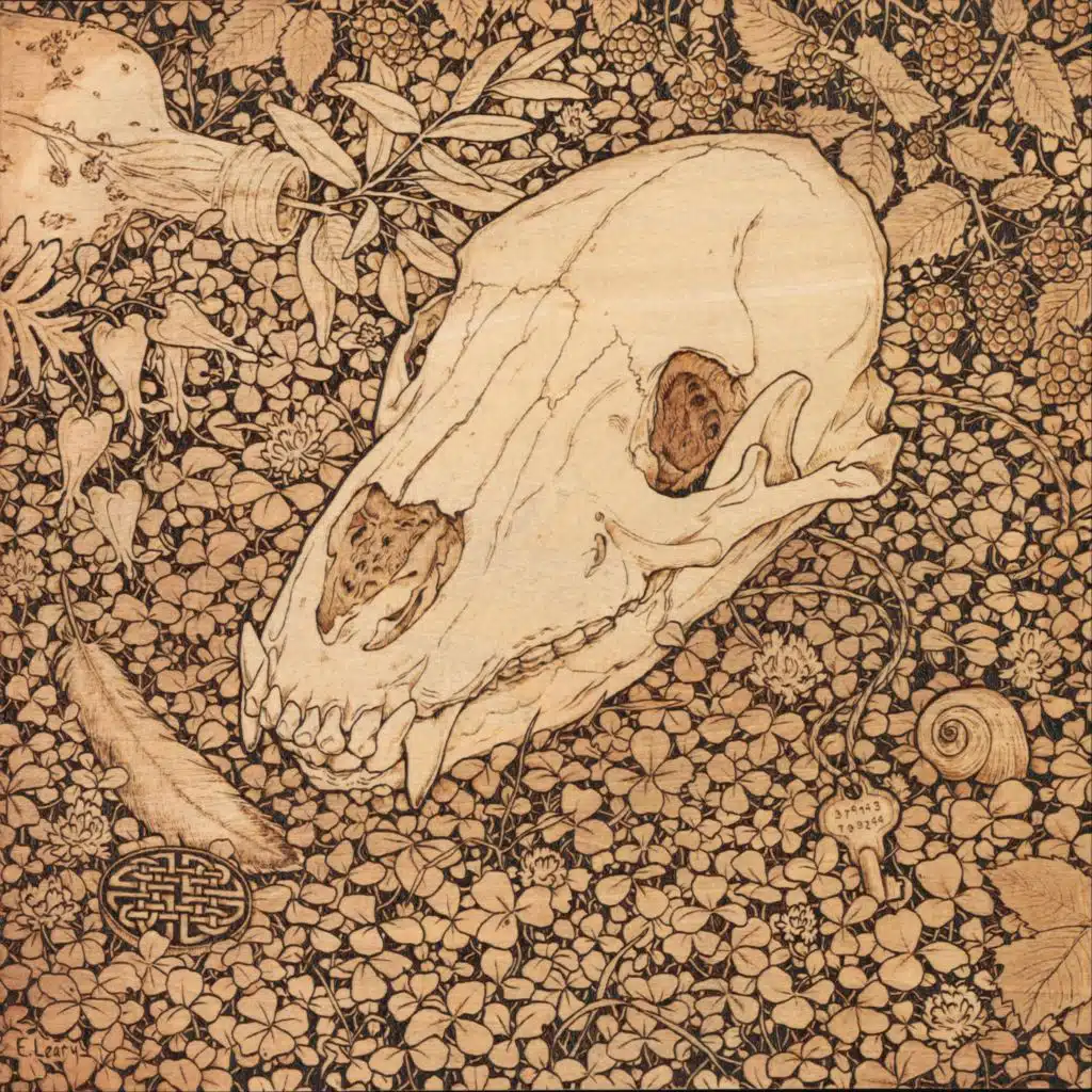 Spare Bones