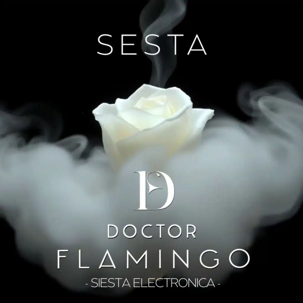 Sesta (Siesta Electrónica)