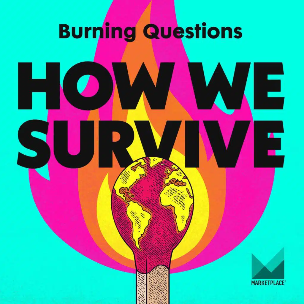 Introducing “How We Survive’s” Burning Questions