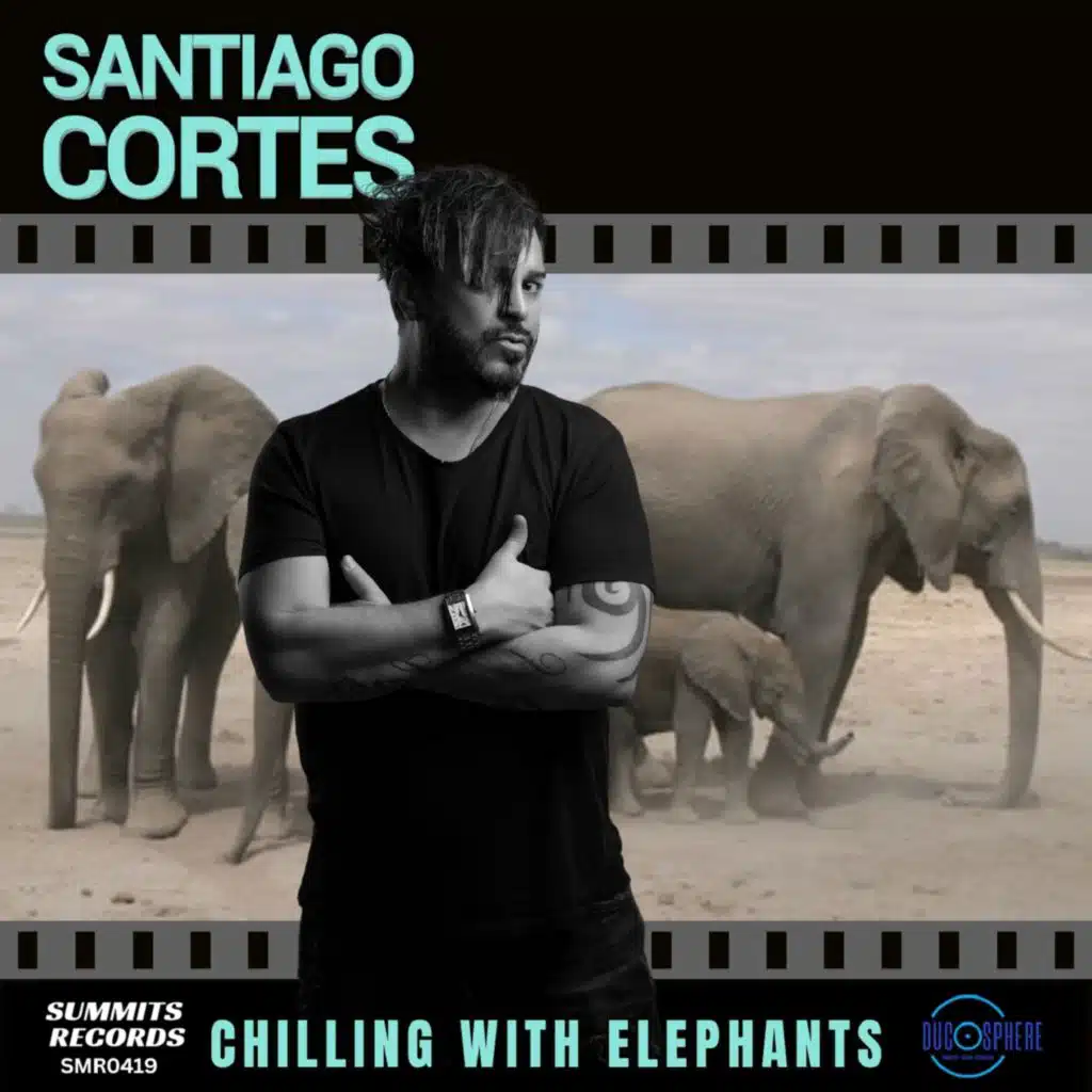 Chilling With Elephants (Extended Mix)