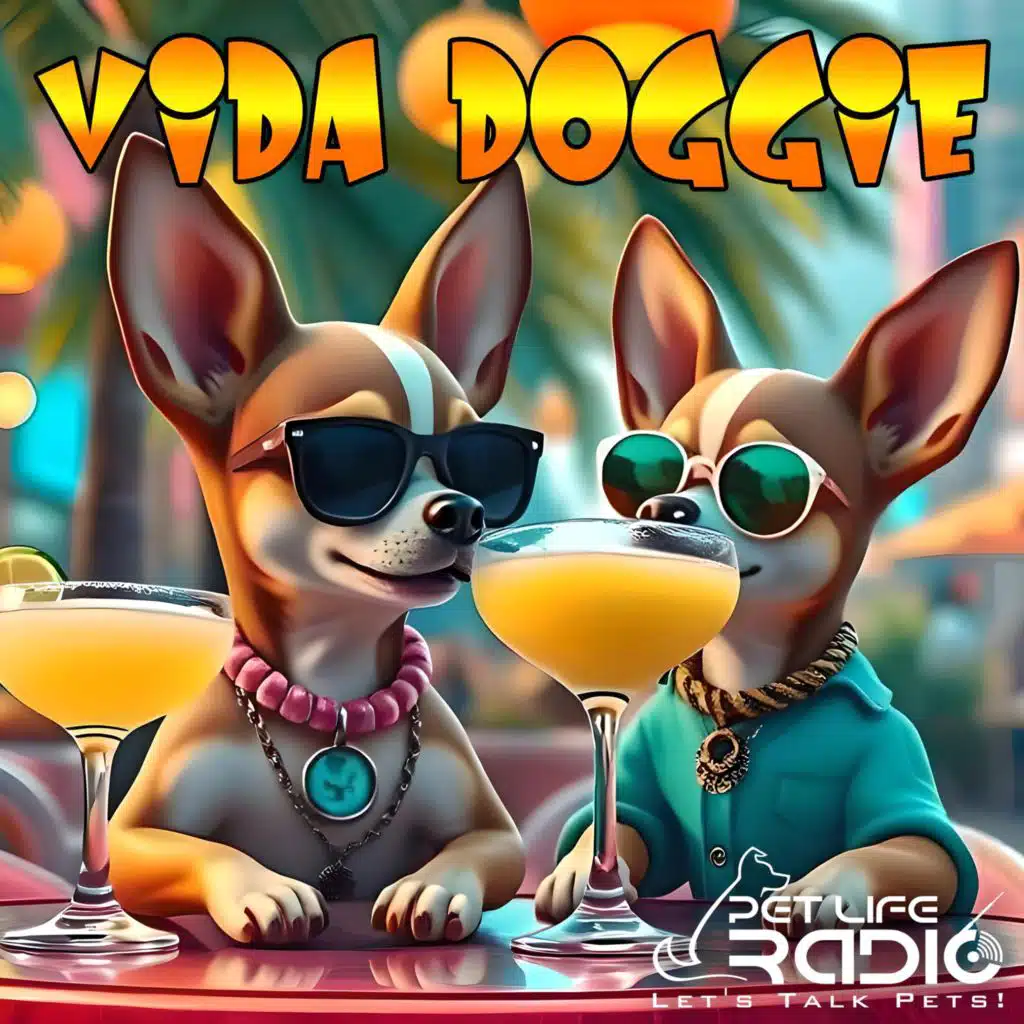 Vida Doggie - It’s one Spicy show - Pet Life Radio Original