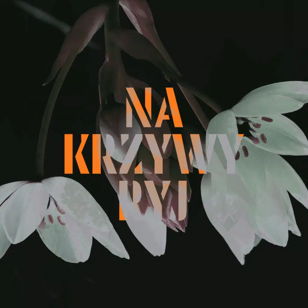 Na Krzywy Ryj (Radio Edit)
