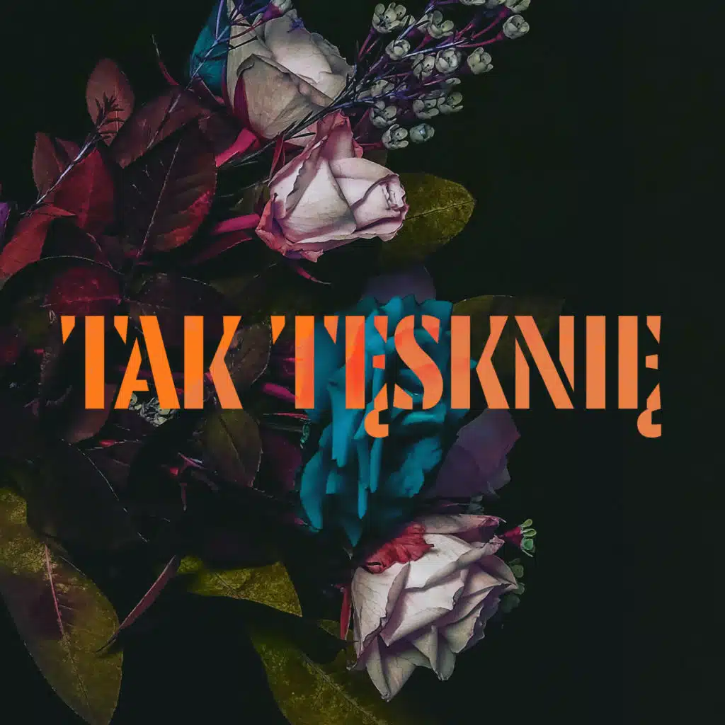 Tak Tęsknię (Radio Edit)