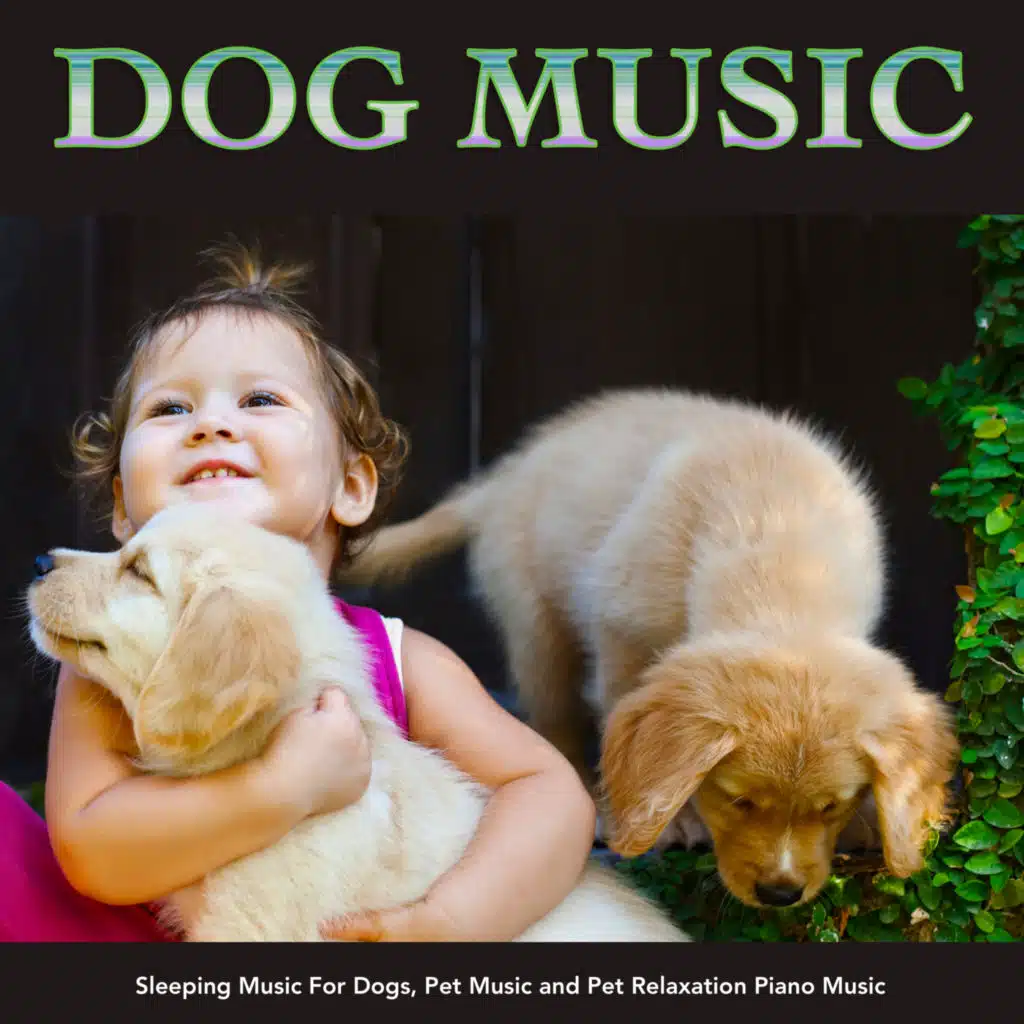 Dog Music For Pets