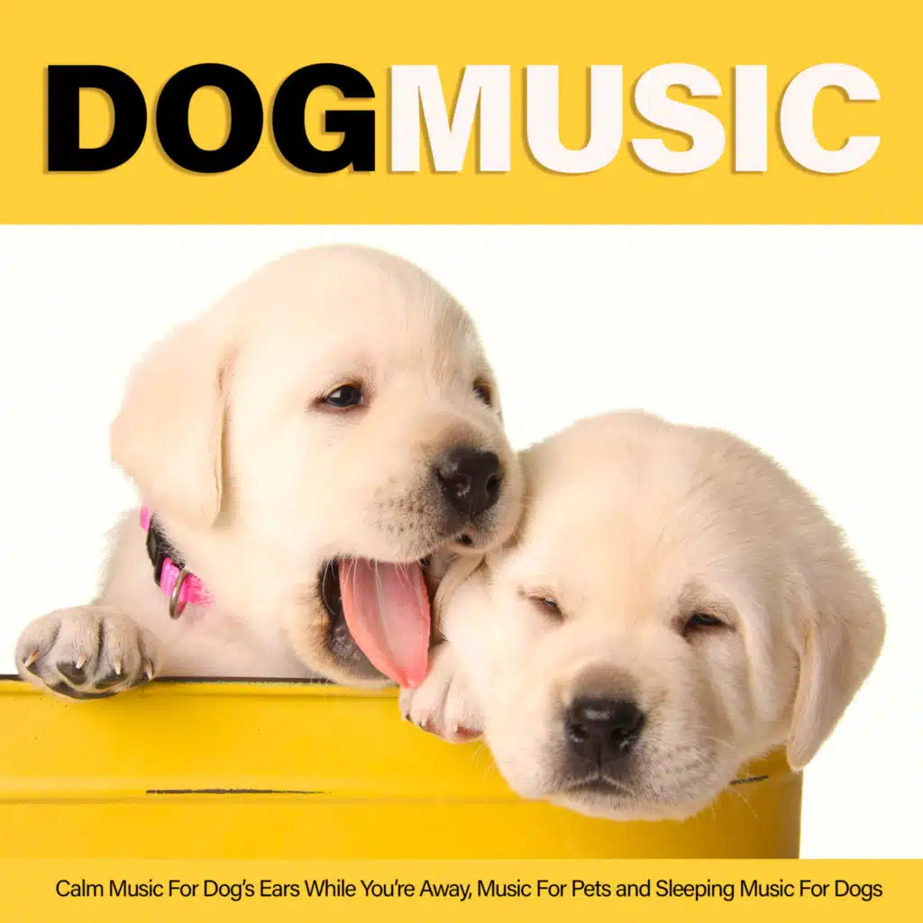 Soothing Music For Dogs