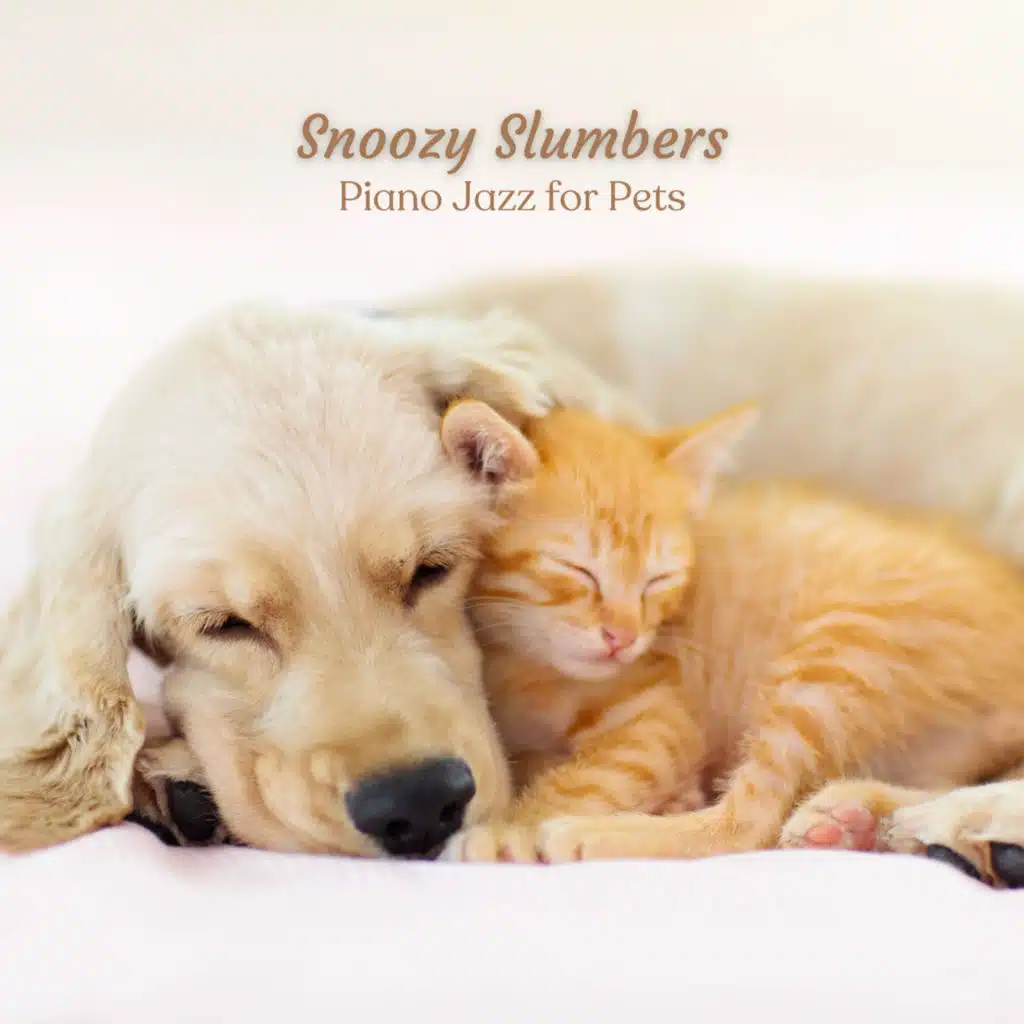 Snoozy Slumbers: Piano Jazz for Pets