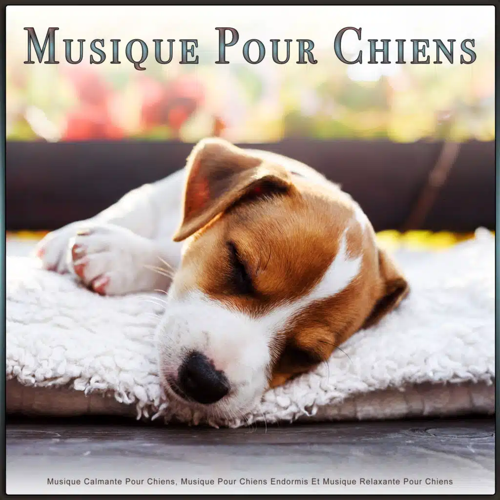 Musique Guitare pour Animaux