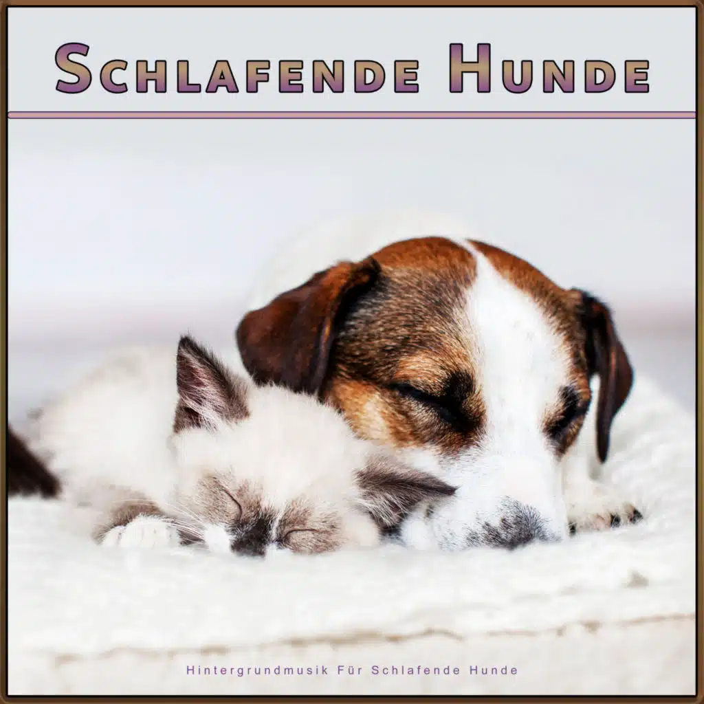 Schlafende Hunde: Hintergrundmusik Für Schlafende Hunde