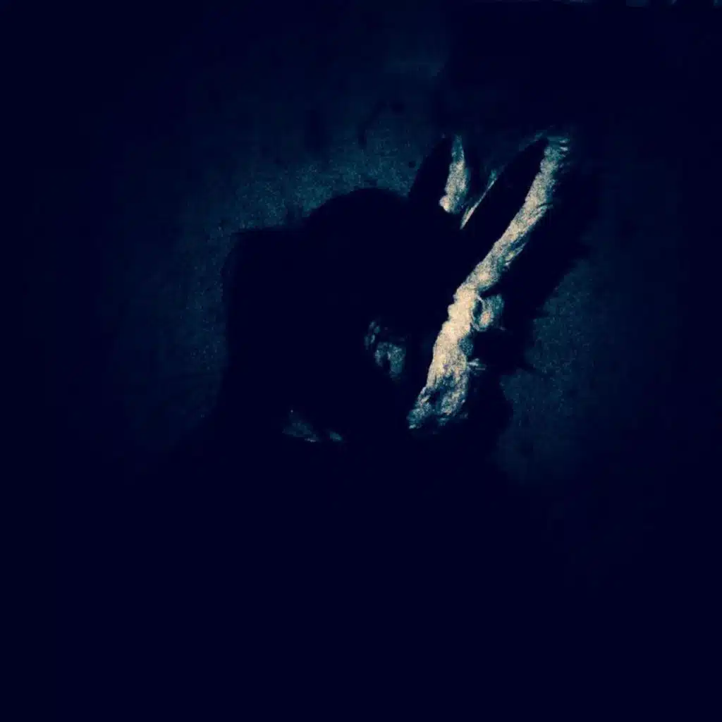 Trichotomy (Part I: Code White Rabbit)