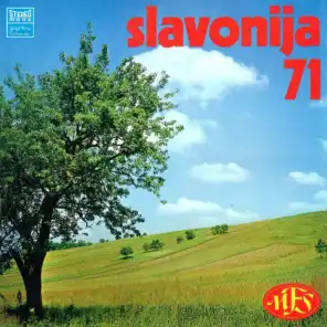 Slavonija 71