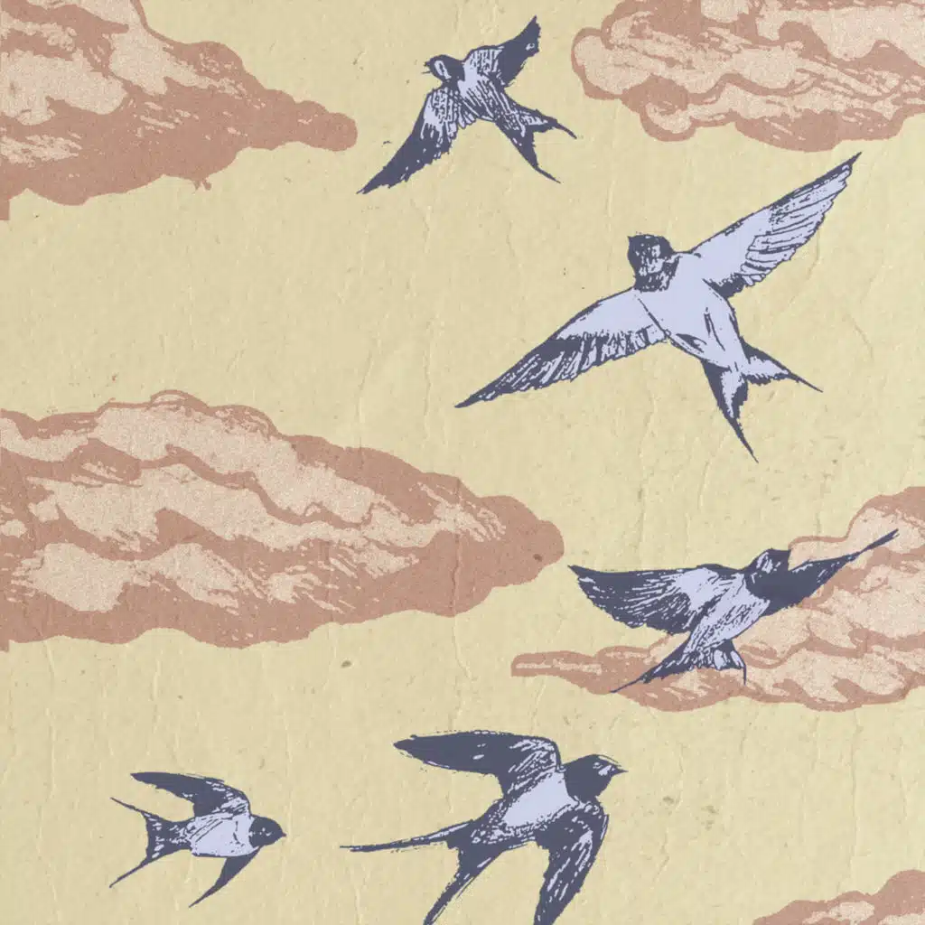 A Migração das Andorinhas