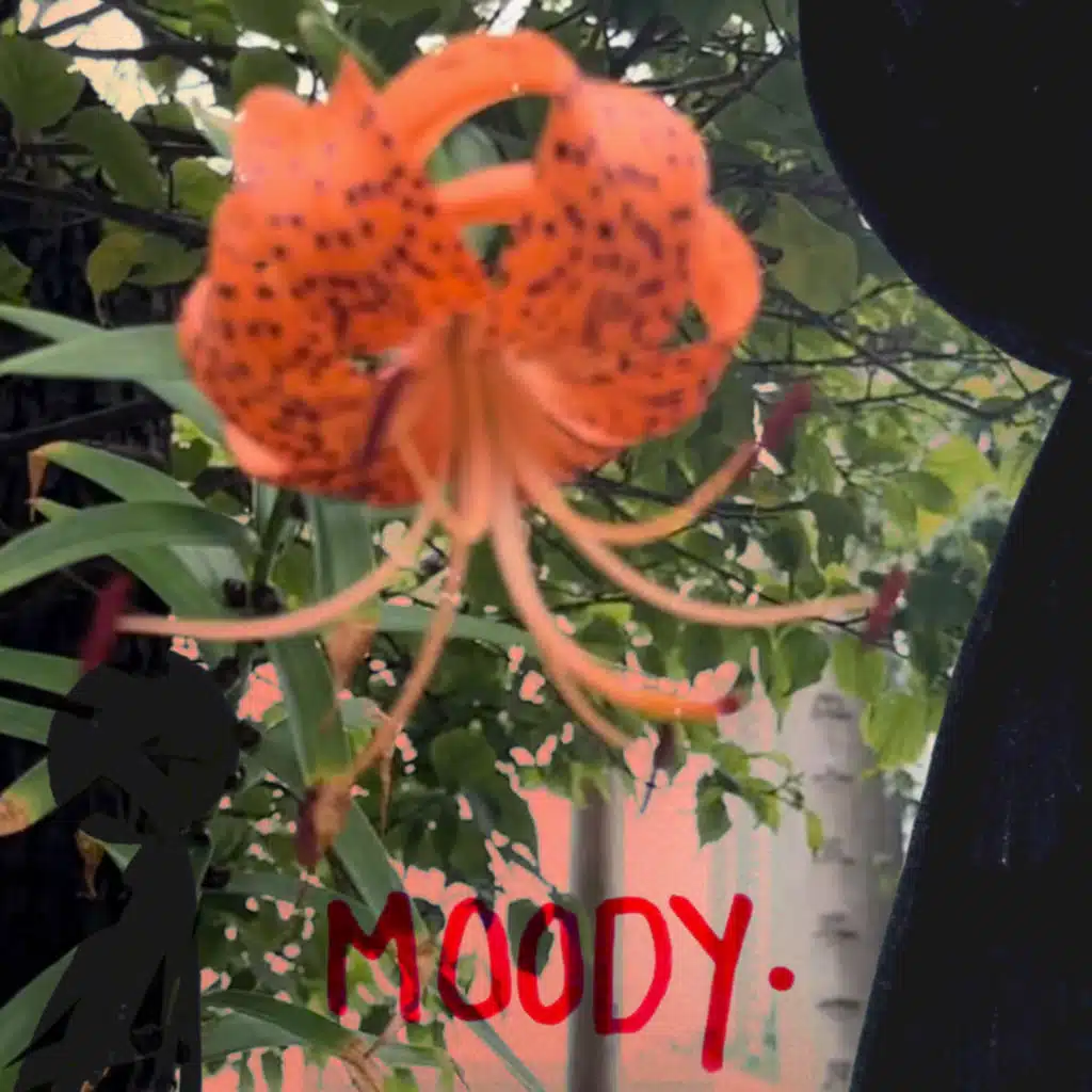 MOODY