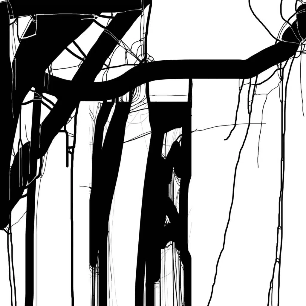 MAZE
