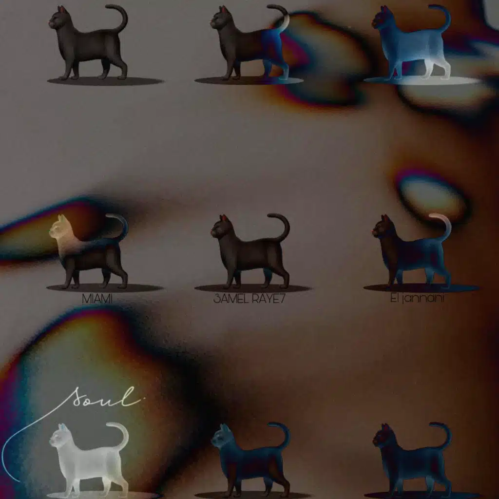 9 Souls (feat. Ninja249)