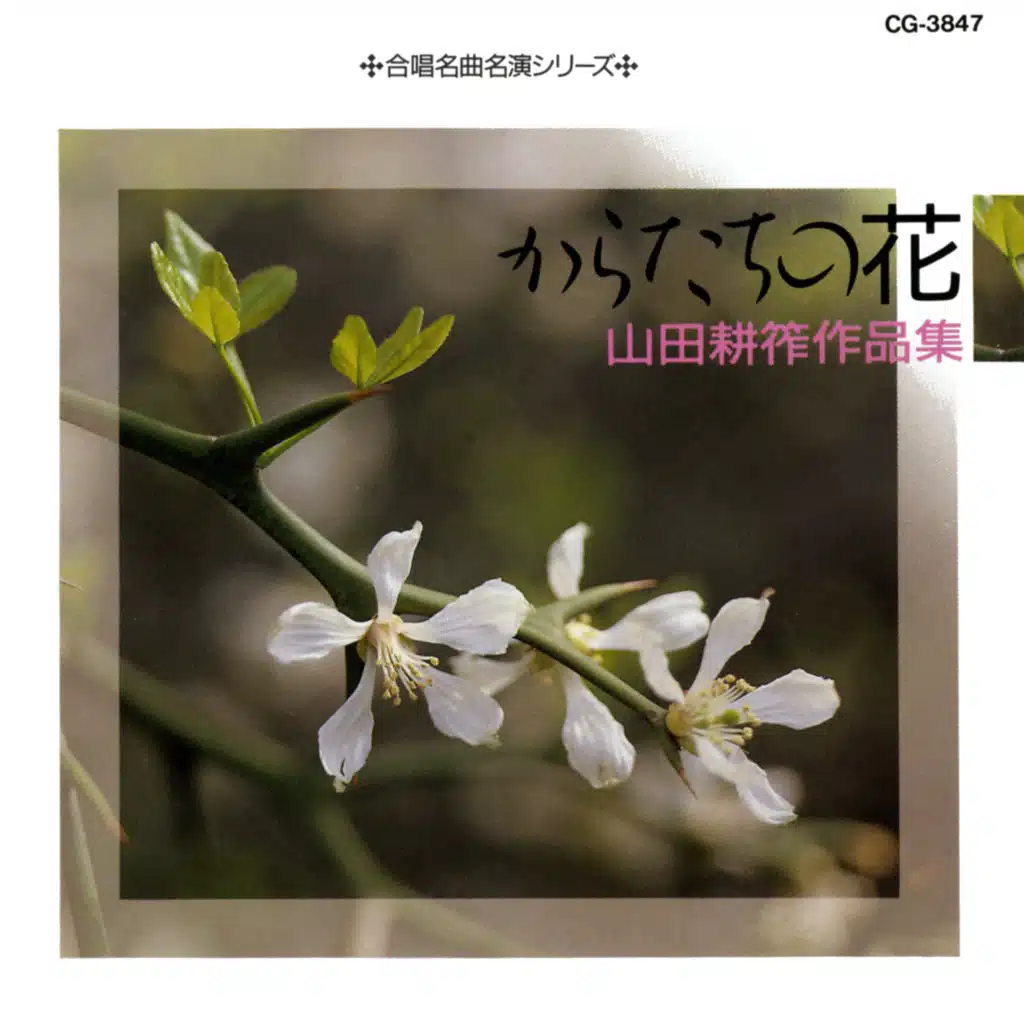 Hiroshi Wakasugi & Chamber Choir Nissho