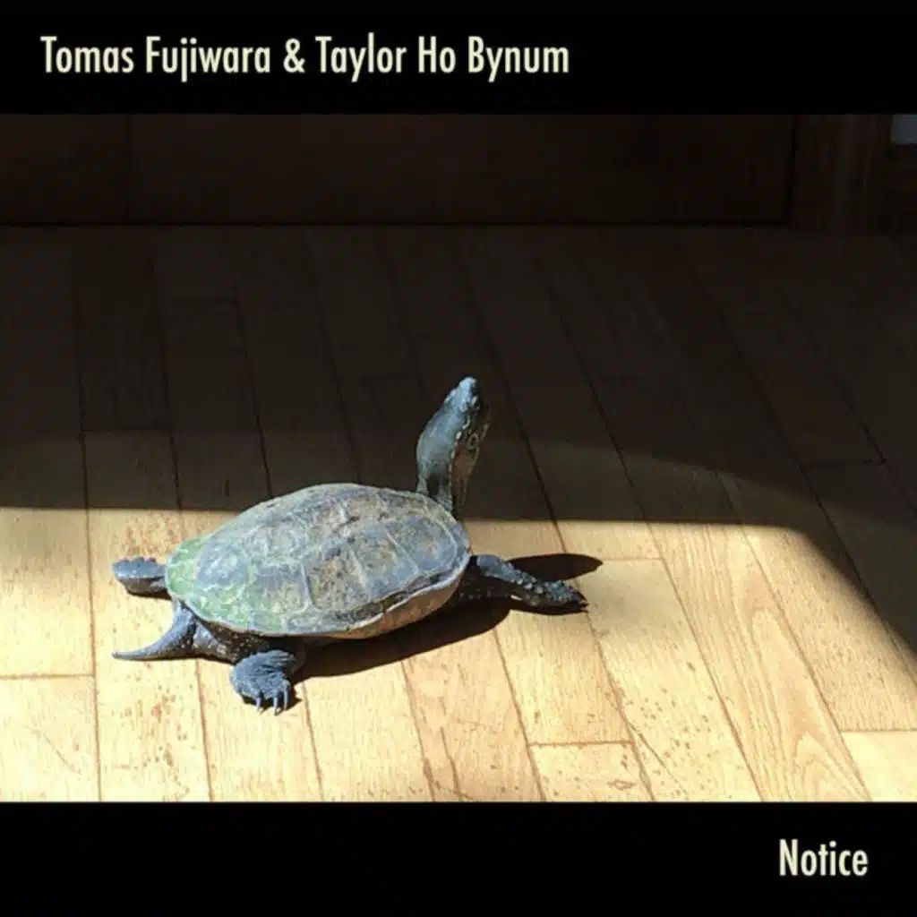 Tomas Fujiwara & Taylor Ho Bynum