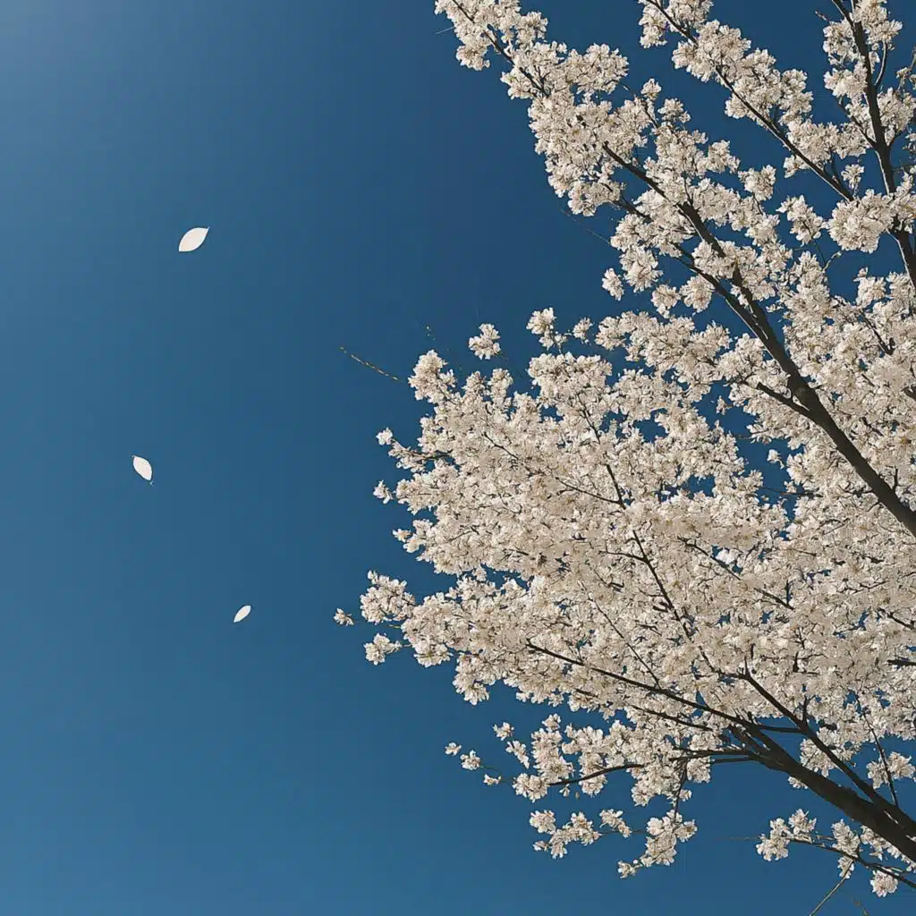 Dancer Piano Vol. 3 - Memory