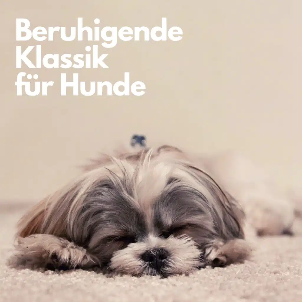 Rusalka, Op. 114, Act I: Song to the Moon (Transc. Lenaerts)