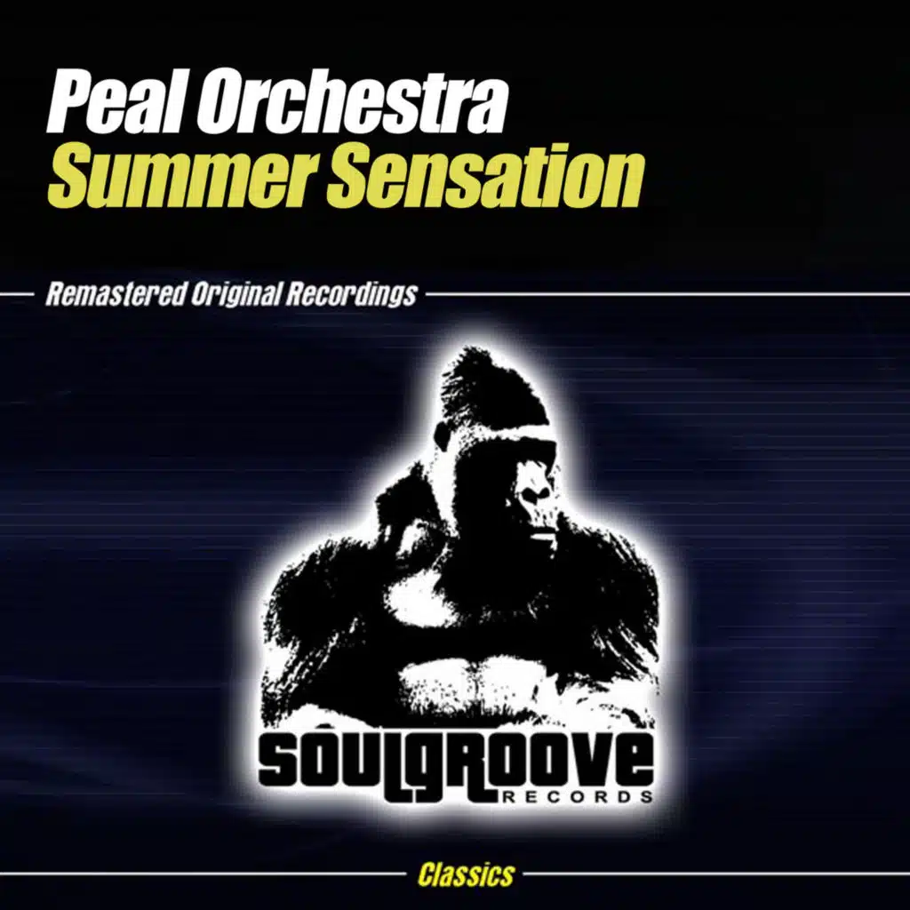 Summer Sensation (Back2Dub)