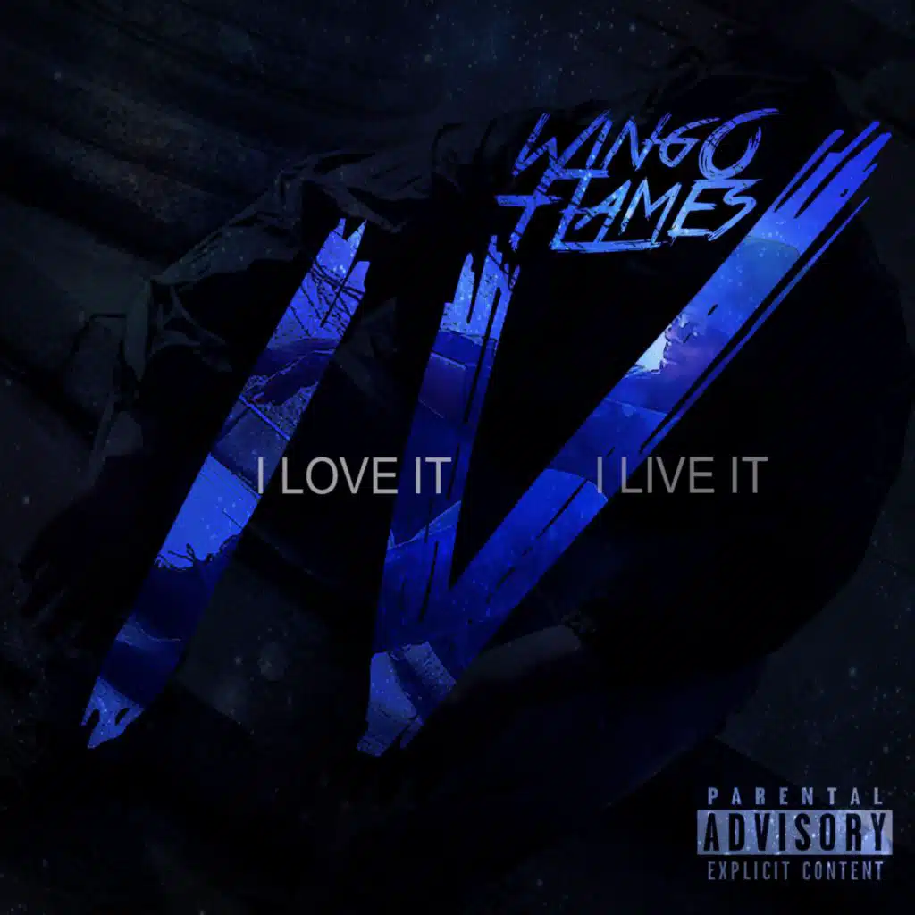 I Love It I Live It 4