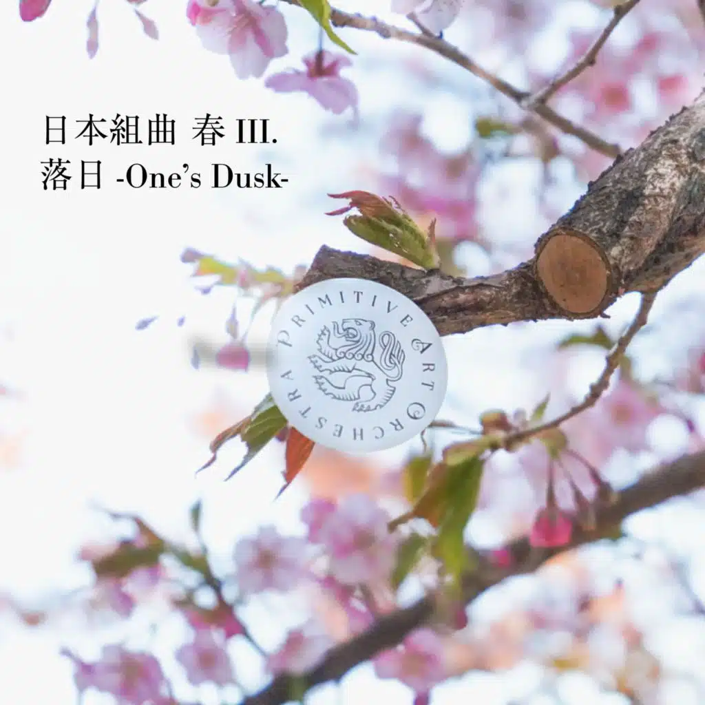 PRIMITIVE ART ORCHESTRA