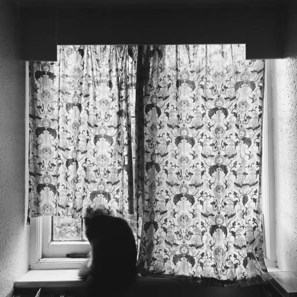 Impossible Germany, Alex Kozobolis & Ave Grave