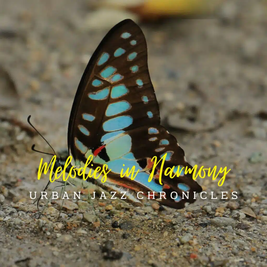 Jazz Café Reverie: Lounge Melodies in Harmony