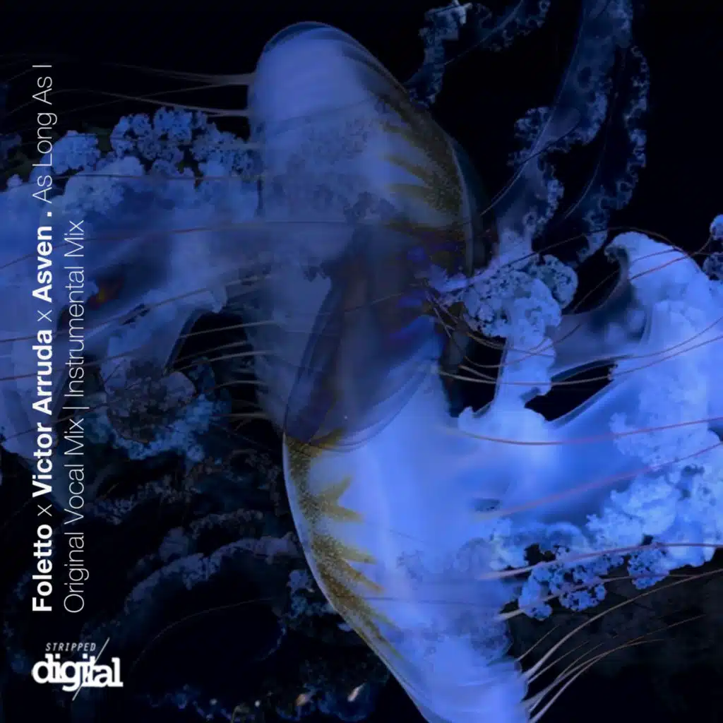 As Long as I (Original Vocal Mix)